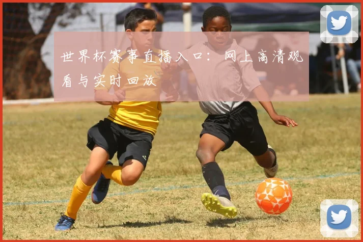 世界杯赛事直播入口：网上高清观看与实时回放